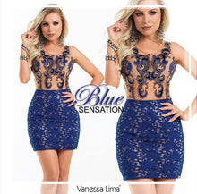 Two Pieces Set Blue in Transparent Embroidery Skirt & Top